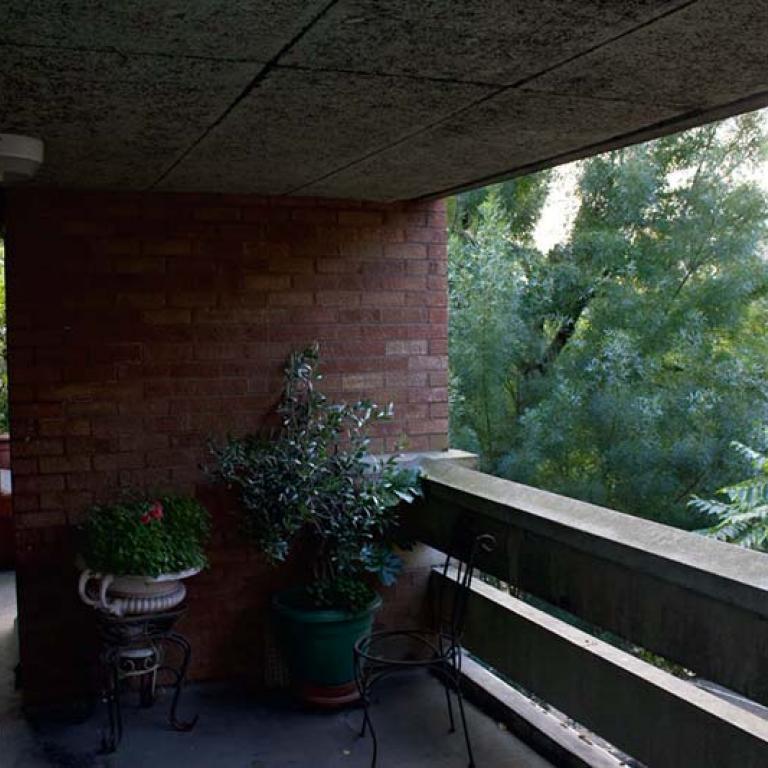 A view from the wide walkway on the 4th floor of Chesterton House looking out onto the lush green trees at the height of summer. Residents potted plants grow on the walkway. Photo by Constantine Gras, 2019.