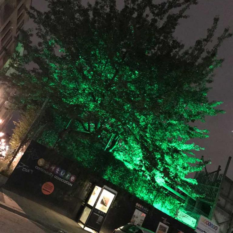 Photo taken at night on Wornington Road showing the outside wall of the Venture Centre with its multi-coloured logo, Venture Community Association. Behind it is a tall tree illuminated in green as a mark of solidarity with the 72 lives lost on the two year anniversary of the Grenfell fire. Photo reproduced from @VentureCentre1 Twitter feed, 2016.
