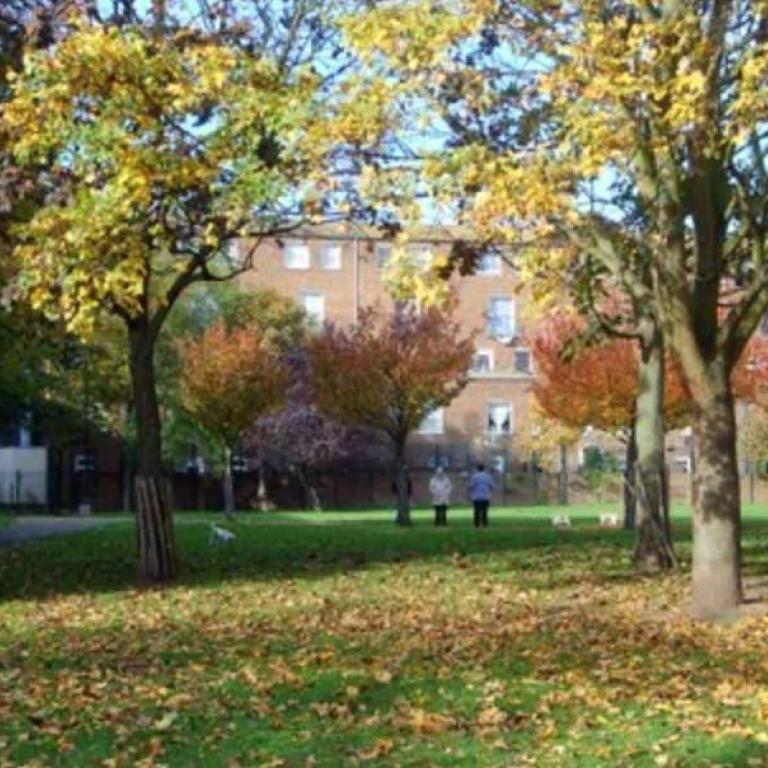 An array of autumnal trees stand in the green grass as two dog walkers chat in the background while four small dogs run about. Photo reproduced from The United Estate of Wornington Green, 2008.