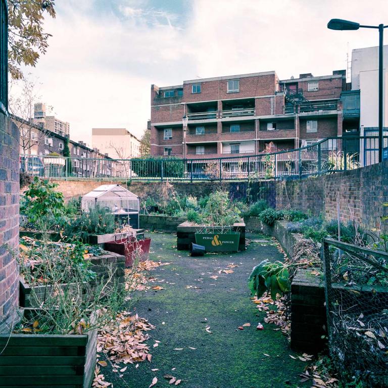 Looking into the residents’ Community Garden, with Katherine House in the background. Photo by Kevin Percival, a resident of Pepler House, 2019.